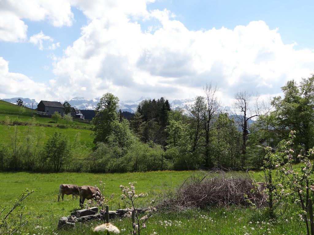Vogelnest Gais Exterior foto