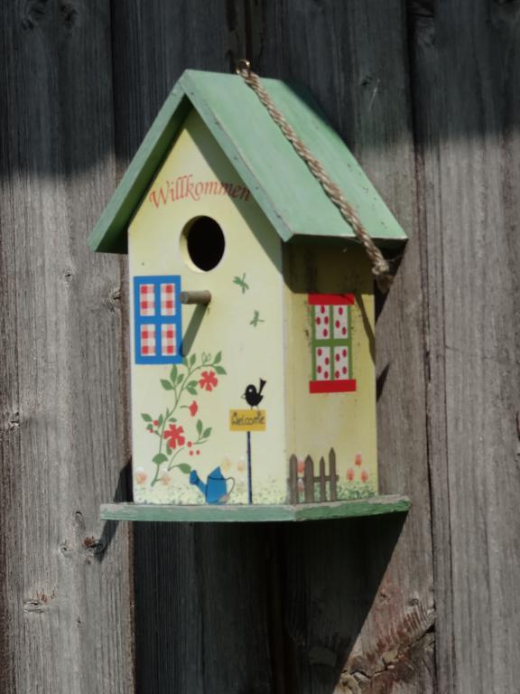 Vogelnest Gais Exterior foto