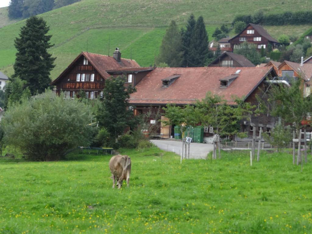 Vogelnest Gais Exterior foto